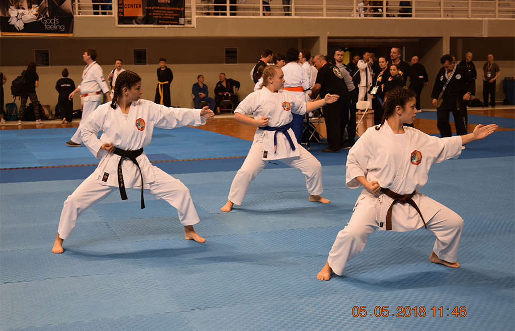 Shotokan Karate